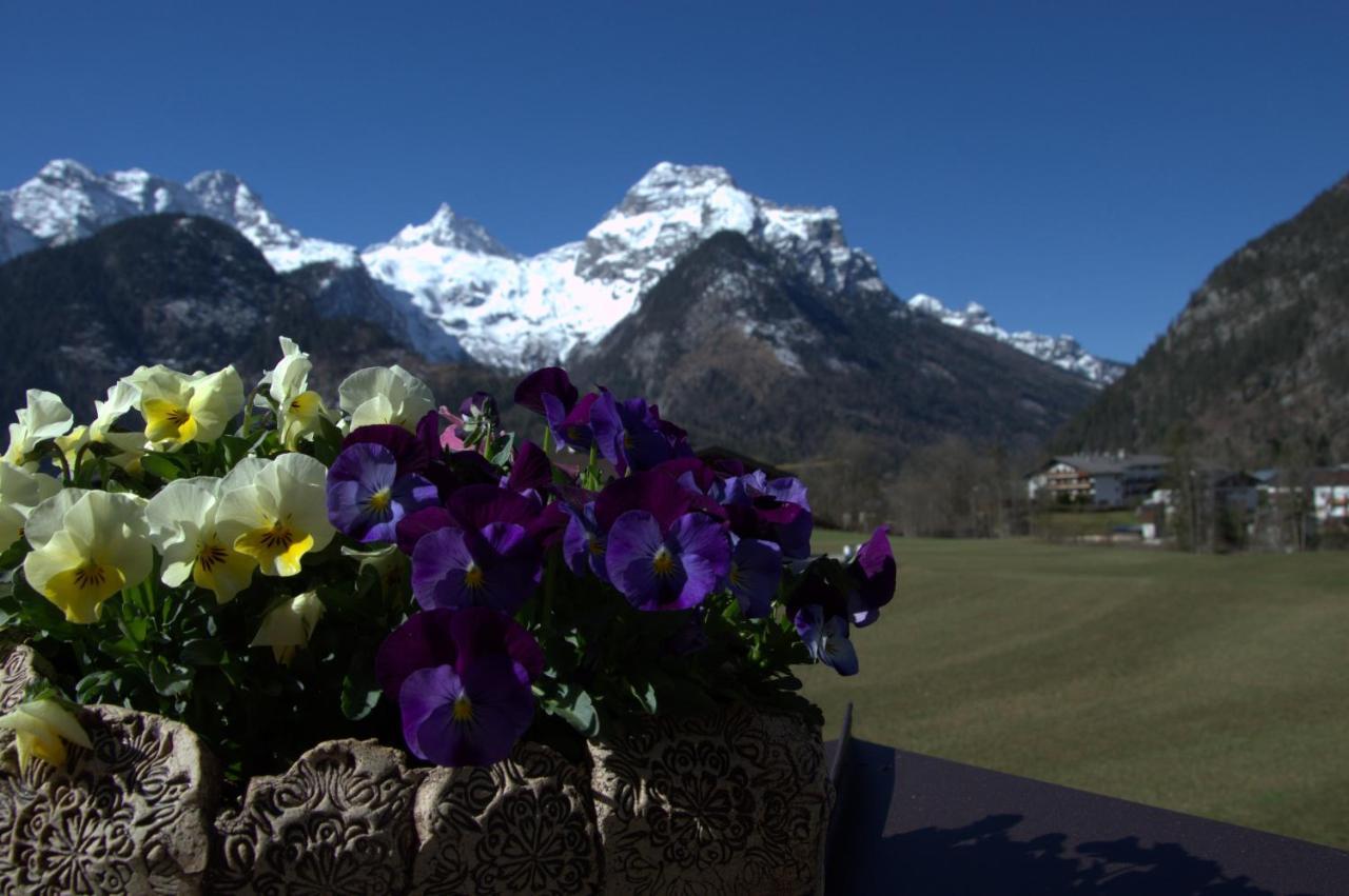 Haus Alpengruss Apartment โลเฟอร์ ภายนอก รูปภาพ