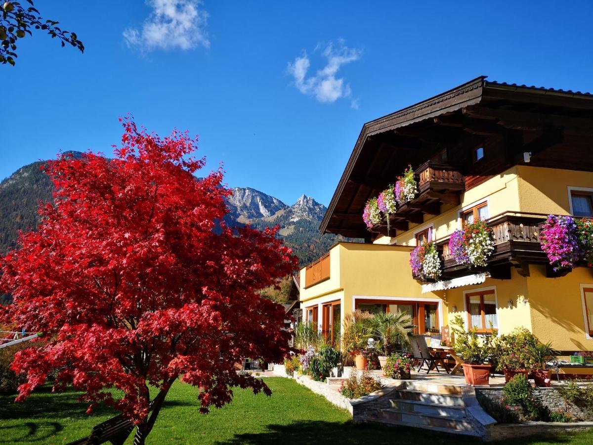 Haus Alpengruss Apartment โลเฟอร์ ภายนอก รูปภาพ