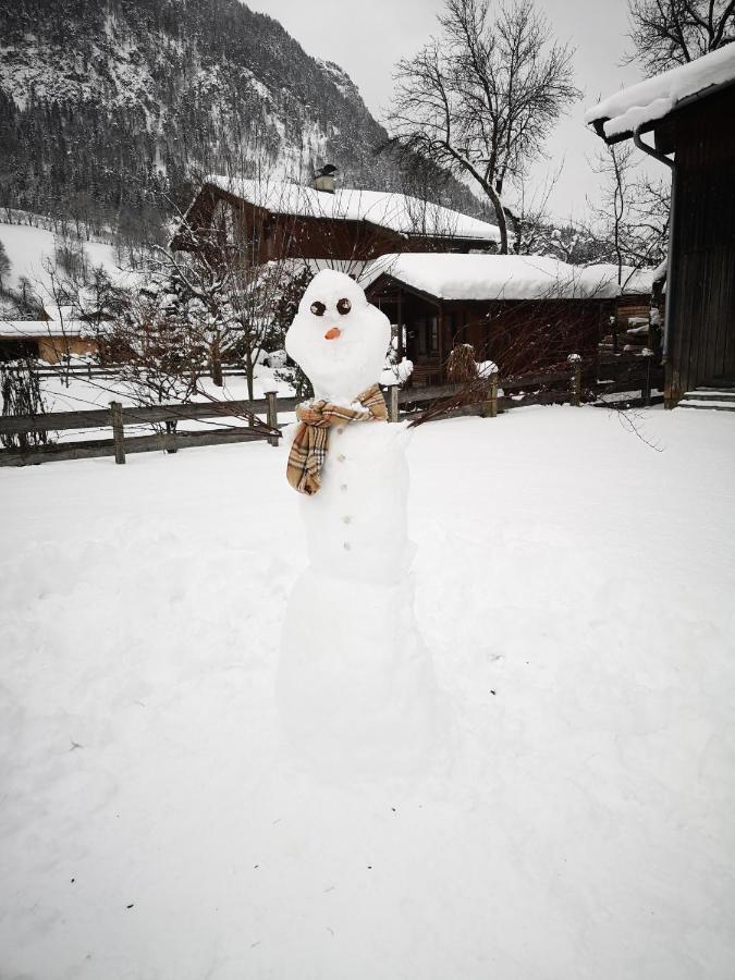Haus Alpengruss Apartment โลเฟอร์ ภายนอก รูปภาพ